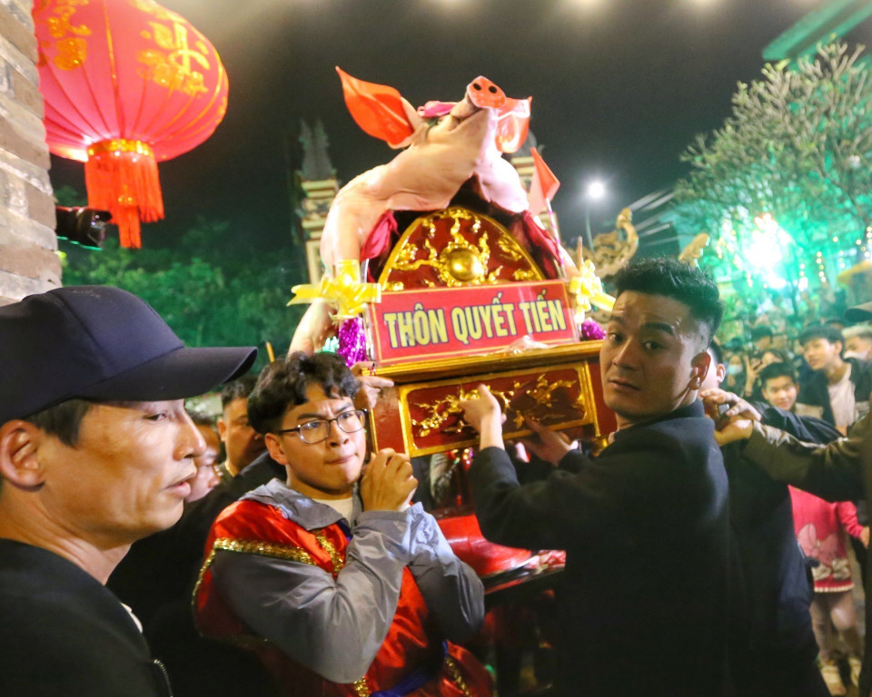 Năm Quý Mão 2023, 17 ông lợn có trọng lượng hàng trăm kg được các thôn, xóm trong làng rước ra đình làng La Phù phục vụ lễ hội. (Ảnh: Tuấn Đức/TTXVN)