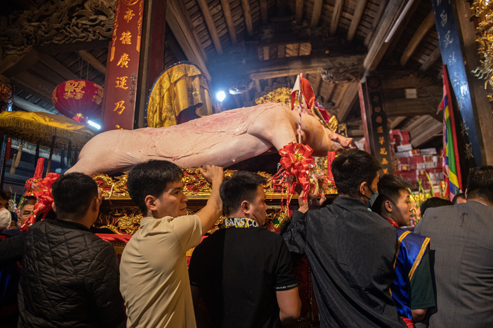 Các Ông Lợn được rước vào đình La Phù. (Ảnh: Phạm Tuấn Anh/TTXVN)