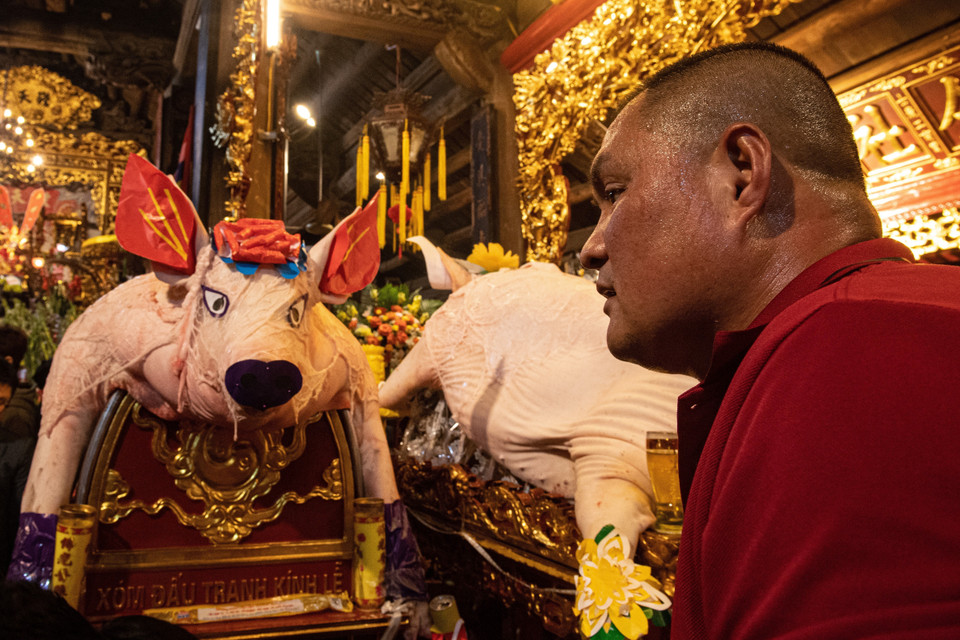 Các Ông Lợn được rước vào đình La Phù. (Ảnh: Phạm Tuấn Anh/TTXVN)