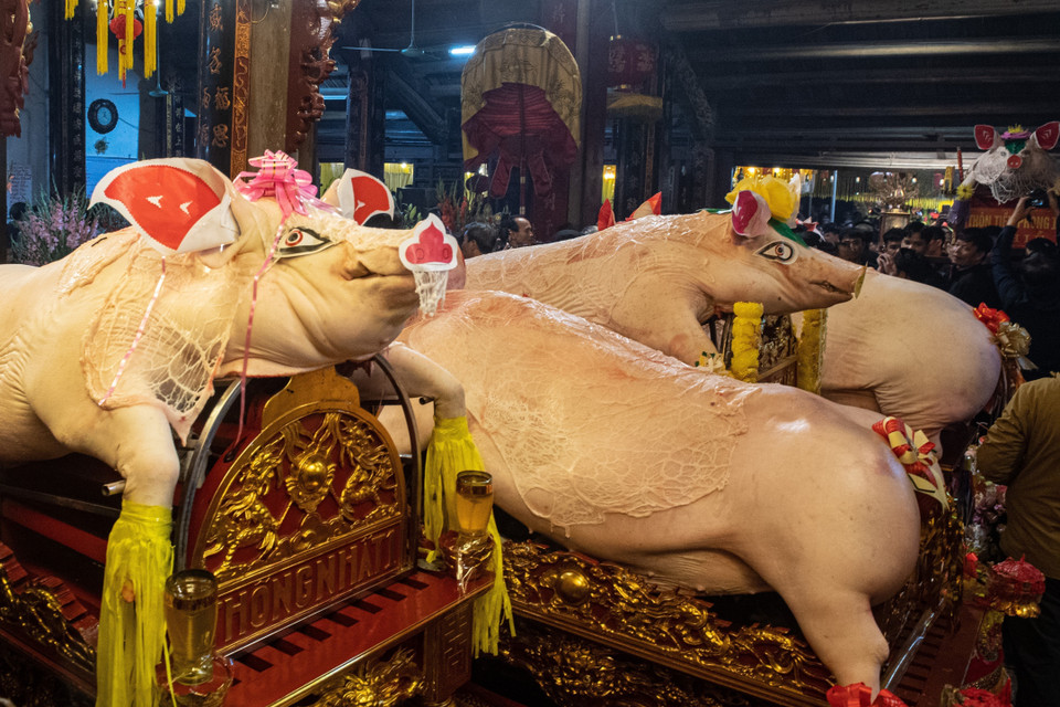 Hình ảnh các Ông Lợn được rước vào đình La Phù. (Ảnh: Phạm Tuấn Anh/TTXVN)