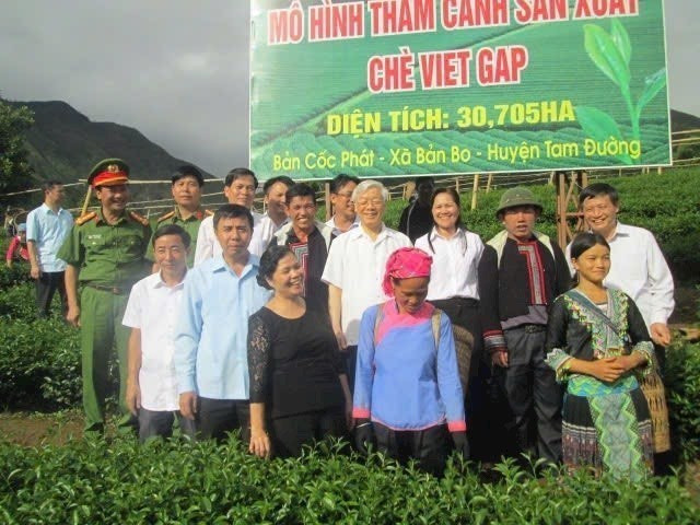 Tổng Bí thư Nguyễn Phú Trọng thăm vùng trồng chè của xã Bản Bo, huyện Tam Đường vào tháng 7/2016. (Ảnh: TTXVN phát)