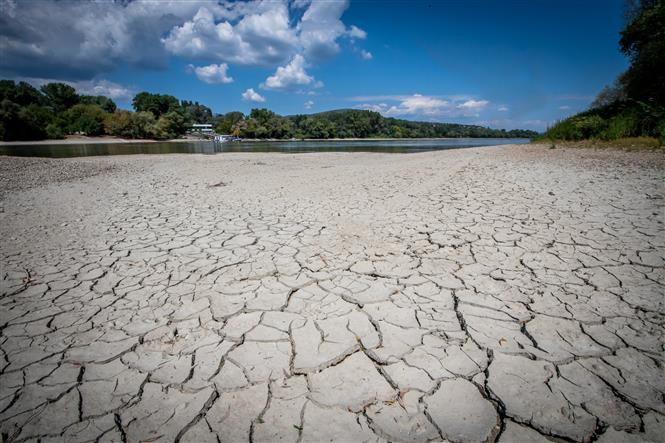  Lòng sông Danube khô cạn một phần do hạn hán, tại Szentendre, Hungary, ngày 28/7/2022. (Ảnh: AFP/TTXVN)