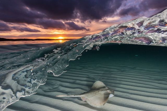 Cảnh đẹp ở Vịnh Jervis, Australia. (Nguồn: National Geographic)