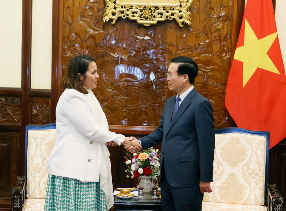 Chủ tịch nước Võ Văn Thưởng tiếp Đại sứ New Zealand tại Việt Nam Tredene Dobson. (Ảnh: Thống Nhất /TTXVN)