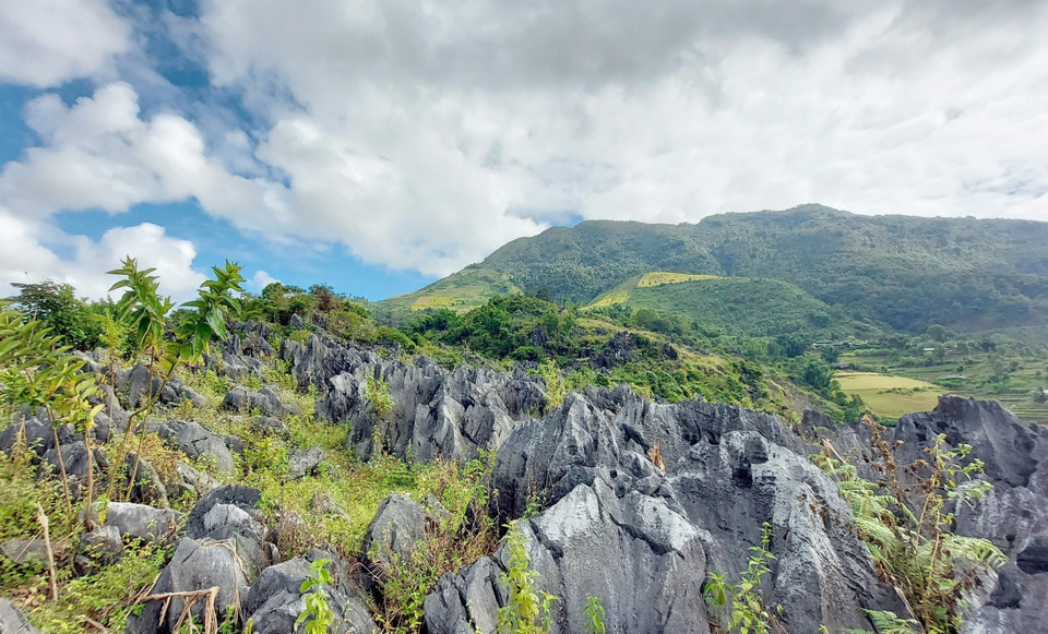 Tủa Chùa là địa phương có diện tích núi đá vôi lớn nhất tỉnh Điện Biên, tập trung nhiều nhất ở các xã phía Bắc gồm Tả Phìn, Tả Sìn Thàng, Mường Đun, Xá Nhè… (Ảnh: TTXVN phát)