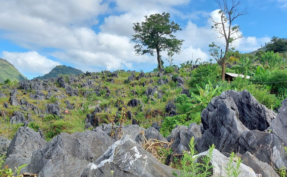 Theo tiếng Mông, Tả Phìn có nghĩa là một vùng đất bằng trải rộng trên núi cao. (Ảnh: TTXVN phát)