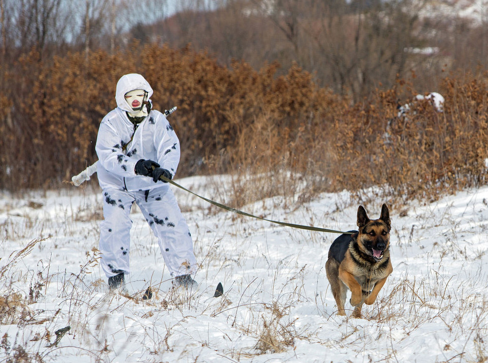 Đơn vị tác chiến bộ binh có vũ trang tại Bắc Cực của Nga đang được huấn luyện tại vùng Amur. Trong ảnh là một học viên đang trong đợt huấn luyện (Sputnik News).