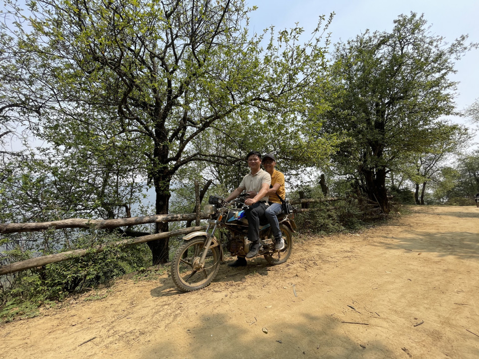 Du khách dừng chân chụp ảnh cùng với những cây táo mèo cổ thụ dọc ven đường. (Ảnh: Tuấn Anh/TTXVN)