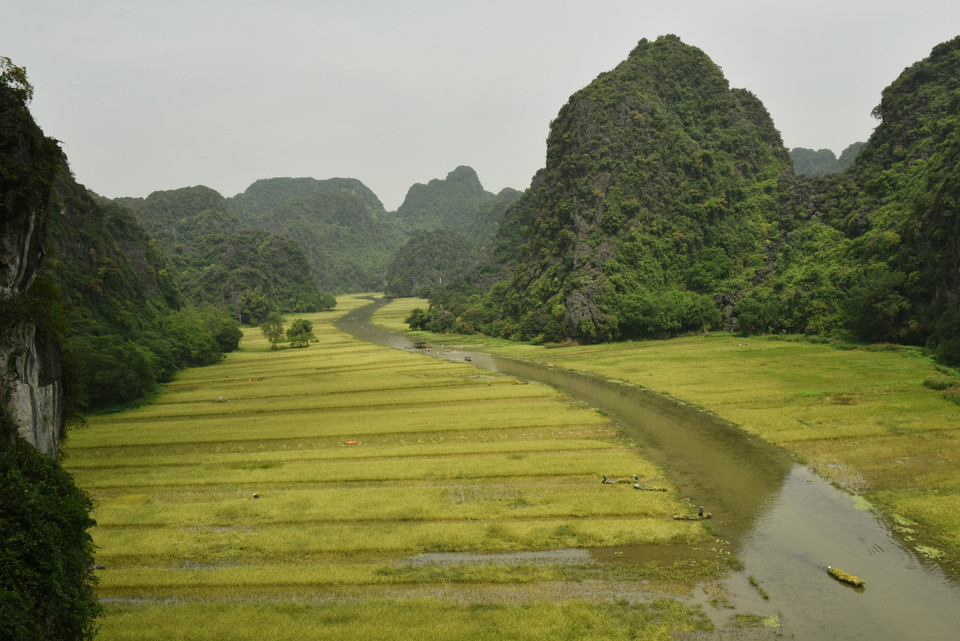 Những cánh đồng lúa nối tiếp như dệt lên bức thảm thiên nhiên giữa đất trời. (Ảnh: Đức Phương/TTXVN)