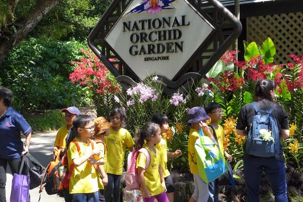 Vườn Lan Quốc gia trong Singapore Botanic Gardens cũng là địa điểm của các buổi học ngoại khóa của học sinh tại Singapore. (Ảnh: Kim Yến/Vietnam+)