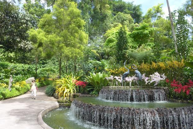 Một góc của Singapore Botanic Gardens. (Ảnh: Kim Yến/Vietnam+)