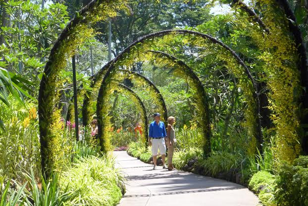Một góc của Vườn lan Quốc gia trong Singapore Botanic Gardens. (Ảnh: Kim Yến/Vietnam+)