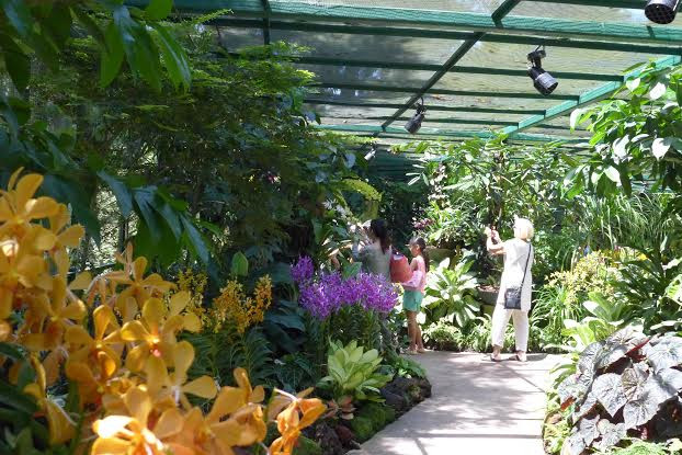 Một góc của Vườn lan Quốc gia trong Singapore Botanic Gardens. (Ảnh: Kim Yến/Vietnam+)