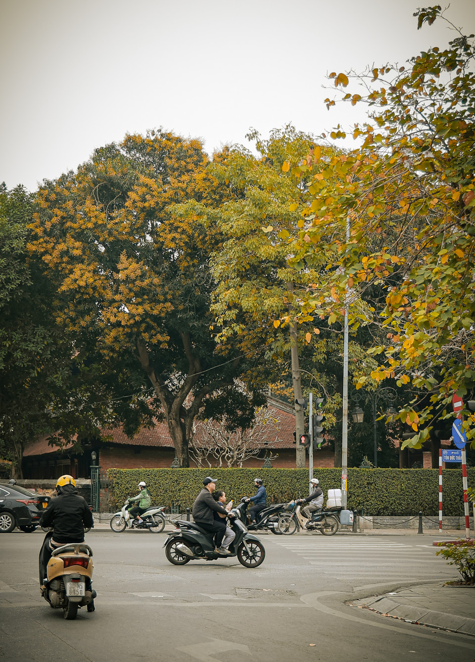 Không cần đến Hàn Quốc, ngay tại chính giữa Thủ đô cũng có khung cảnh lá vàng đẹp thơ mộng. (Ảnh: Minh Hiếu/Vietnam+)