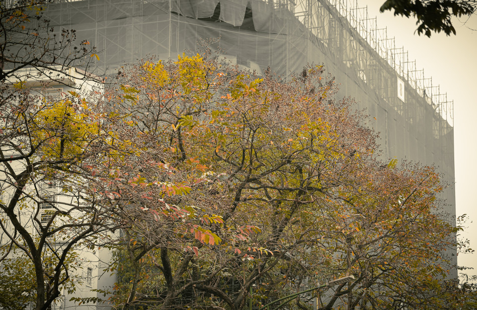 Vàng vàng, xanh xanh, đỏ đỏ hoà quyện với màu trời hơi đục nhẹ của tiết trời giao mùa... (Ảnh: Minh Hiếu/Vietnam+)