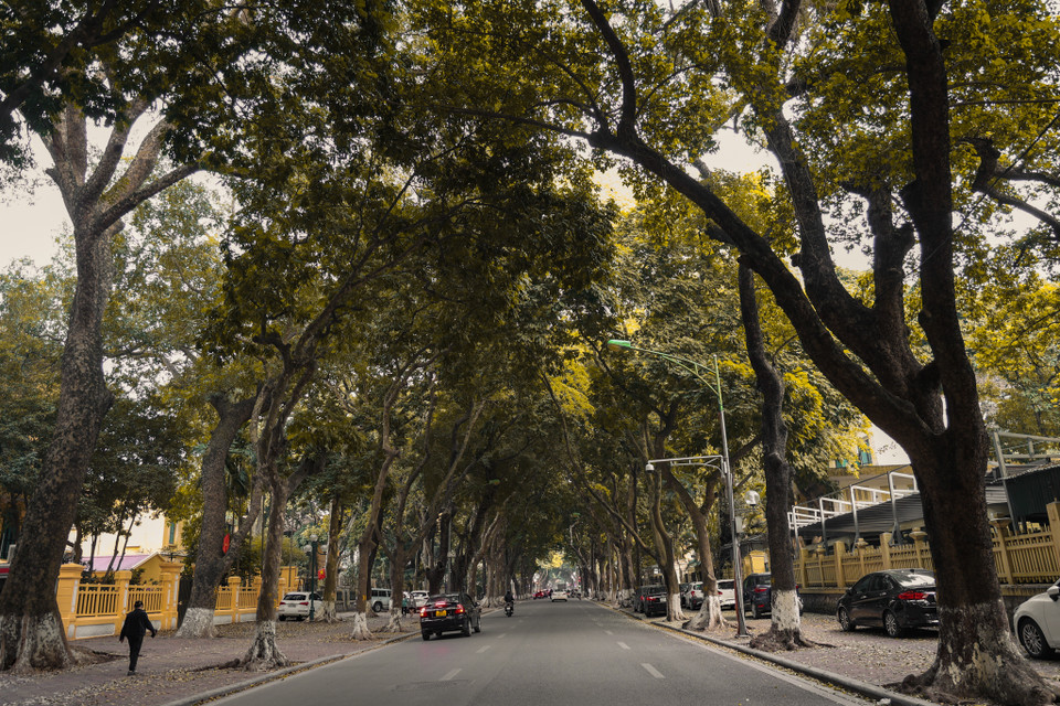 Con đường Phan Đình Phùng (quận Ba Đình) những ngày này. (Ảnh: Minh Hiếu/Vietnam+)