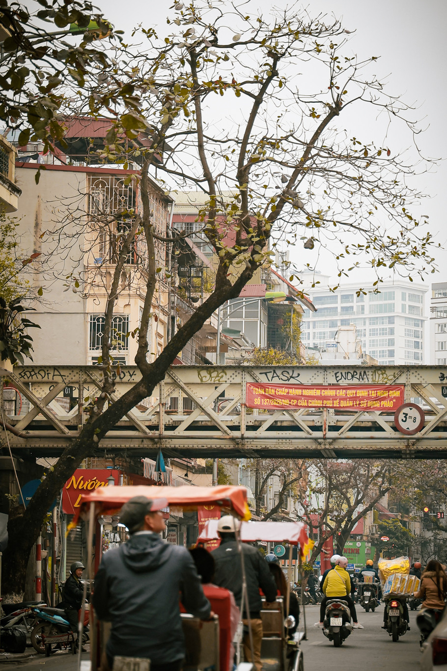 Thời tiết bớt nồm, bớt ẩm, se se lạnh... xuống phố ngắm trời mây, ngắm cây lá những ngày này là cả một sự hưởng thụ. (Ảnh: Minh Hiếu/Vietnam+)