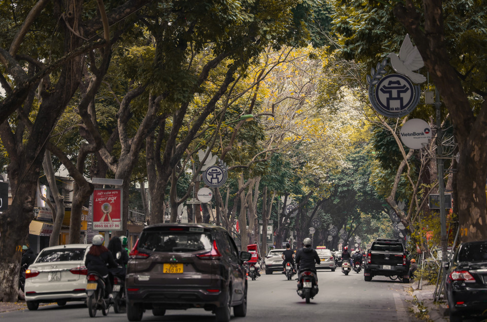 Thời gian như chậm lại khi đi trên các tuyến phố với những hàng cây thay lá... (Ảnh: Minh Hiếu/Vietnam+)