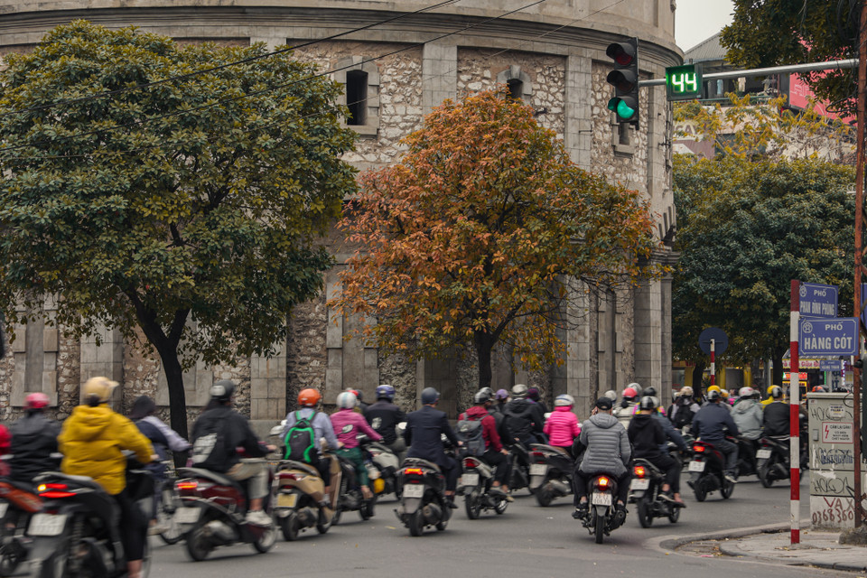 Cây lộc vừng bên cạnh tháp nước Bốt Hàng Đậu - địa điểm check-in nổi tiếng của giới trẻ Thủ đô cũng đang trong mùa thay lá. (Ảnh: Minh Hiếu/Vietnam+)