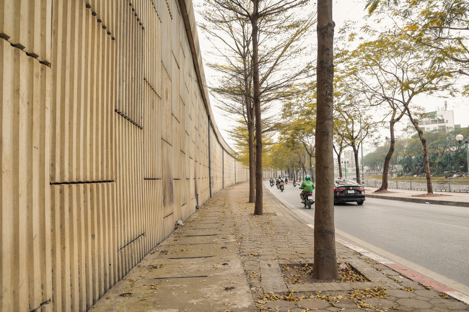 Đoạn dọc đường Bưởi hàng cây cũng đang dần thay lá. (Ảnh: Minh Hiếu/Vietnam+)