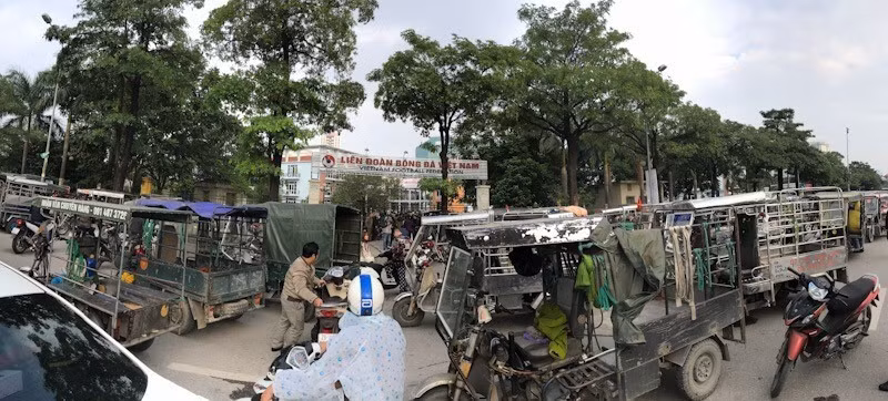 Rất đông người tự xưng thương binh đi xe ba gác có mặt trước cửa trụ sở VFF gây nên cảnh tượng lộn xộn. (Ảnh: Trọng Đạt/TTXVN)