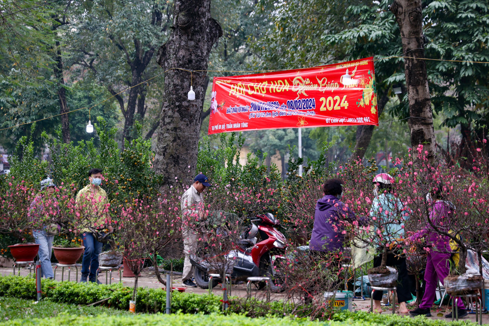 Ngoài chợ hoa Tết trên phố cổ, các điểm chợ hoa khác trên địa bàn Thủ đô cũng đông đúc người dân đến mua. (Ảnh: Minh Hiếu/Vietnam+)
