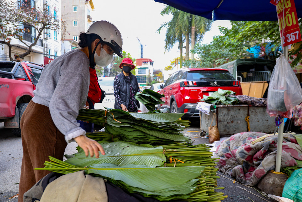 Lá dong ở đây được nhập từ nhiều nơi, đủ loại kích thước khác nhau. Trong đó, lá dong rừng được nhập từ các tỉnh Tây Bắc, Đông Bắc; còn lá dong quê được nhập từ từ thôn Tràng Cát (Thanh Oai, Hà Nội). (Ảnh: Minh Hiếu/Vietnam+)