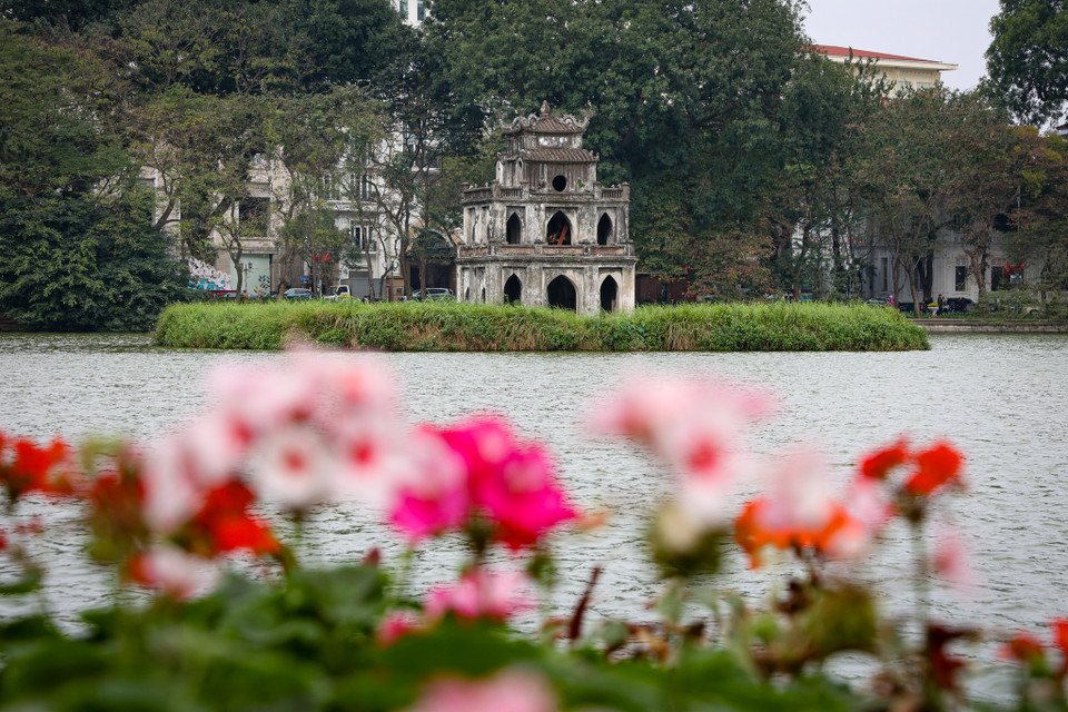 Nhìn đâu cũng thấy hoa tươi rực rỡ sắc mừng Thủ đô, mừng đất nước sắp bước sang một mùa xuân mới với nhiều hy vọng, những điều tốt đẹp phía trước. (Ảnh: Minh Hiếu/Vietnam+)