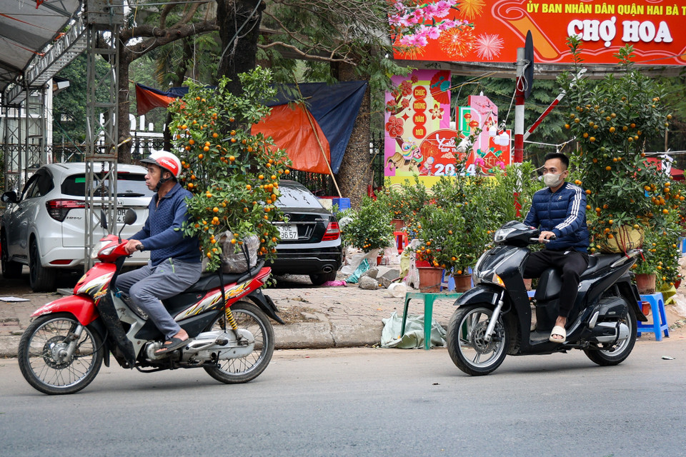 Một số người đi sắm đào, quất Tết muộn. (Ảnh: Minh Hiếu/Vietnam+)