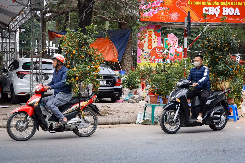 Một số người đi sắm đào, quất Tết muộn. (Ảnh: Minh Hiếu/Vietnam+)