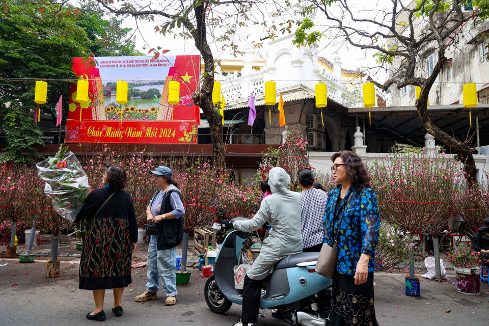 Hoa đào là một trong những 'đặc sản' của chợ hoa Hàng Lược. Có đủ loại đào khác nhau song phổ biến nhất là đào cành. Năm nay, giá đào cành dao động từ 50.000-400.000 đồng tùy kích thước khác nhau. (Ảnh: Minh Hiếu/Vietnam+)