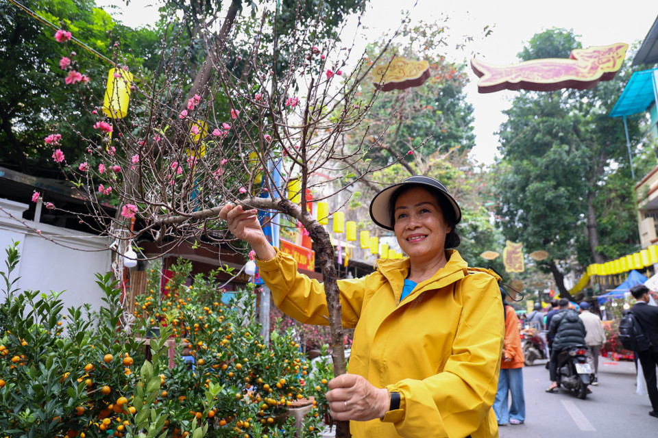 Cô Nguyễn Oanh (quận Hoàn Kiếm) vừa chọn được một cành đào dáng huyền với giá 400.000 đồng. Cô cho biết đào dáng huyền uyển chuyển, hướng vươn lên thể hiện sự kiêu sa, hướng tới những điều tốt đẹp nên cô rất thích và năm nào cũng mua. (Ảnh: Minh Hiếu/Vietnam+)