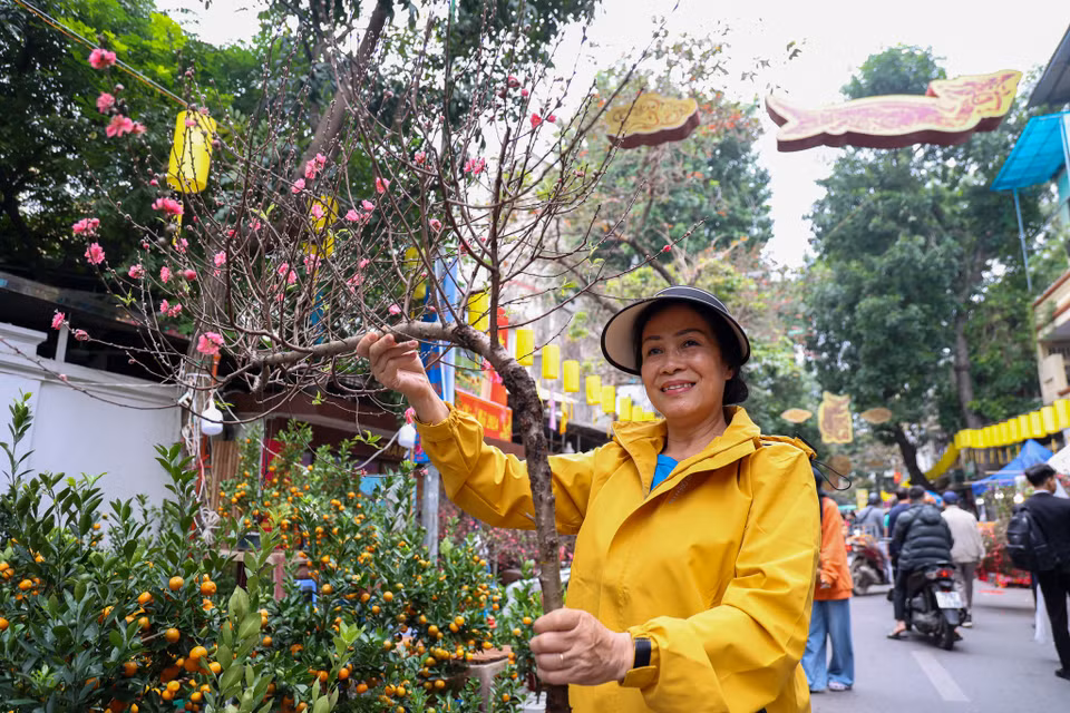 Cô Nguyễn Oanh (quận Hoàn Kiếm) vừa chọn được một cành đào dáng huyền với giá 400.000 đồng. Cô cho biết đào dáng huyền uyển chuyển, hướng vươn lên thể hiện sự kiêu sa, hướng tới những điều tốt đẹp nên cô rất thích và năm nào cũng mua. (Ảnh: Minh Hiếu/Vietnam+)