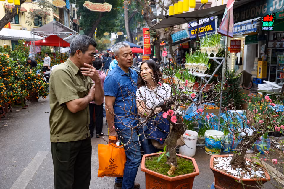 Người Hà Nội đi chợ hoa thường hay ngắm và cái thú là sự lựa chọn kỹ càng, đôi khi phải dạo vài lần mới tìm được nhành hoa, chậu cây ưng ý cho không gian ngôi nhà của mình trong những ngày Tết. (Ảnh: Minh Hiếu/Vietnam+)