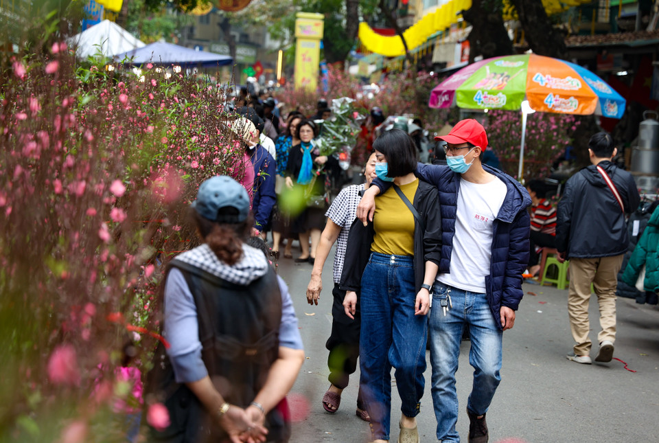 Hà Nội những ngày giáp Tết Nguyên đán khắp nơi đều là cảnh tưng bừng, nhộn nhịp. Người người nhà nhà rộn ràng xuống phố đi mua sắm từng cành đào, chậu quất hay đồ dùng cho Tết. (Ảnh: Minh Hiếu/Vietnam+)