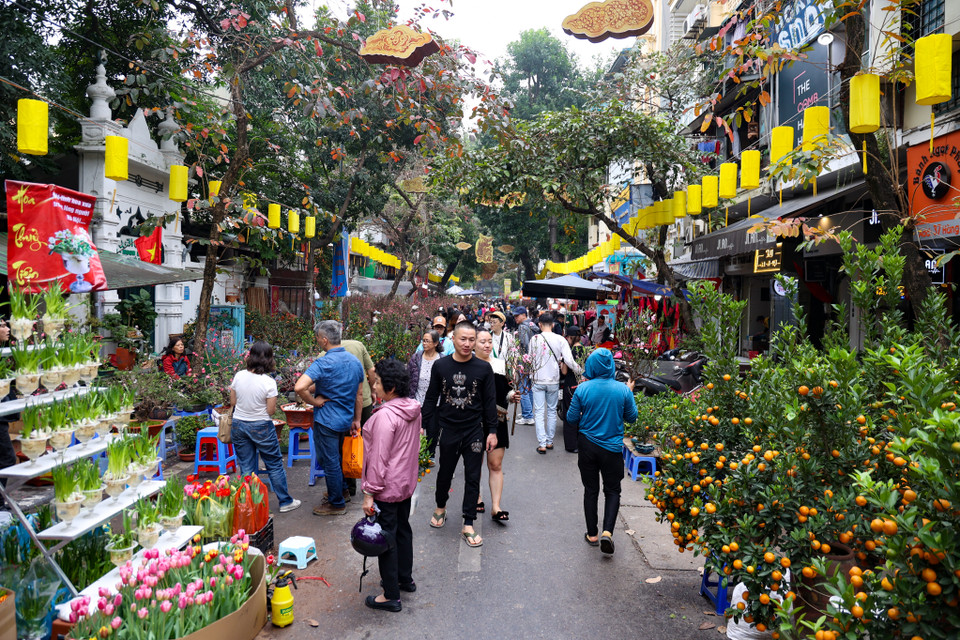Khắp nơi trên phổ cổ Hà Nội hay các chợ hoa lớn trong thành phố đều là không khí nhộn nhịp đi sắm Tết của người dân. Trên nhiều tuyến phố, các hàng cây quất, đào, chậu bưởi nối dài được trưng bày với màu sắc rực rỡ, khiến ai đi qua cũng phải ngắm nhìn. (Ảnh: Minh Hiếu/Vietnam+)