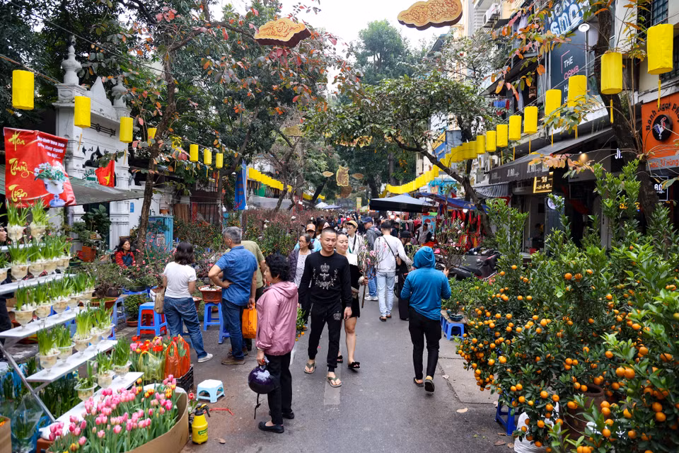 Khắp nơi trên phổ cổ Hà Nội hay các chợ hoa lớn trong thành phố đều là không khí nhộn nhịp đi sắm Tết của người dân. Trên nhiều tuyến phố, các hàng cây quất, đào, chậu bưởi nối dài được trưng bày với màu sắc rực rỡ, khiến ai đi qua cũng phải ngắm nhìn. (Ảnh: Minh Hiếu/Vietnam+)