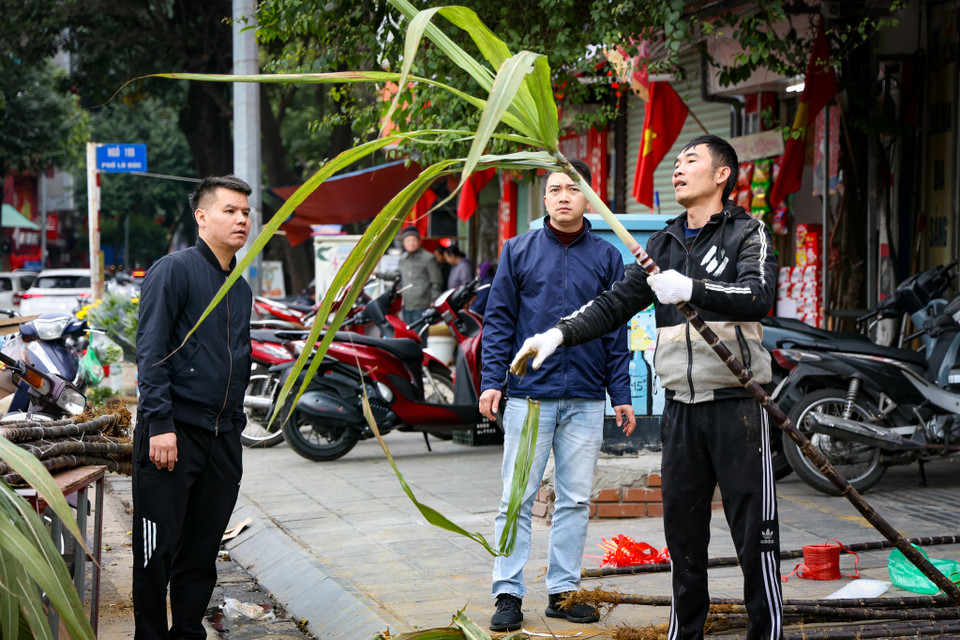 Tiểu thương rục rịch chuẩn bị mía để bán đêm giao thừa. Theo quan niệm xưa, mua một vài cây mía ngọt đầu năm mới dựng bên bàn thờ gia tiên sẽ mang nhiều tài lộc vào nhà. (Ảnh: Minh Hiếu/Vietnam+)