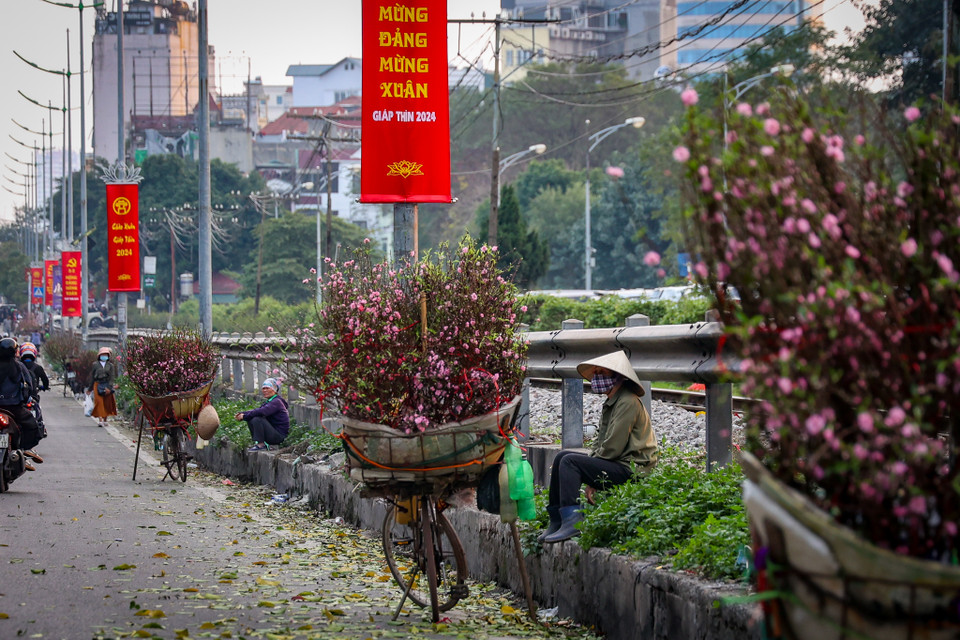 Một số tiểu thương bán đào đợi khách trên lề phố... (Ảnh: Minh Hiếu/Vietnam+)