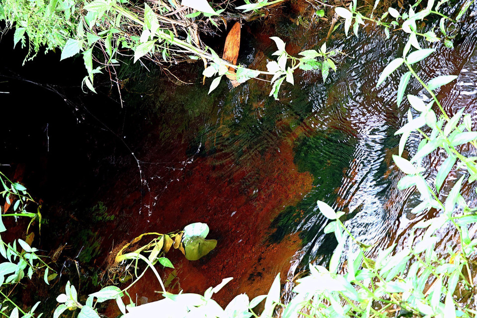 Màu nước đen và có mùi hôi thối nồng nặc tại suối Mó Cơi. (Ảnh: Thanh Hải/TTXVN)