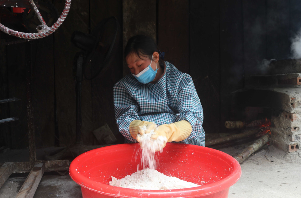 Củ dong riềng rửa sạch đất cát, cắt bỏ rễ và các phần bị hỏng, sau đó, đưa vào máy nghiền tạo thành hỗn hợp gồm xơ củ và tinh bột. (Ảnh: Chu Hiệu/TTXVN)