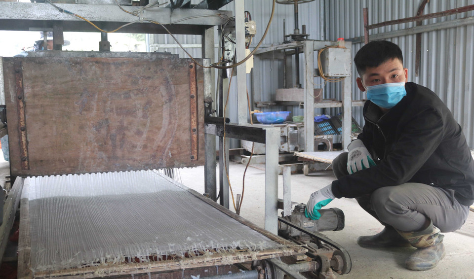 Bột dong chín tiếp tục được đưa vào máy ép để ép thành sợi miến dai ngon, thơm mềm. (Ảnh: Chu Hiệu/TTXVN)