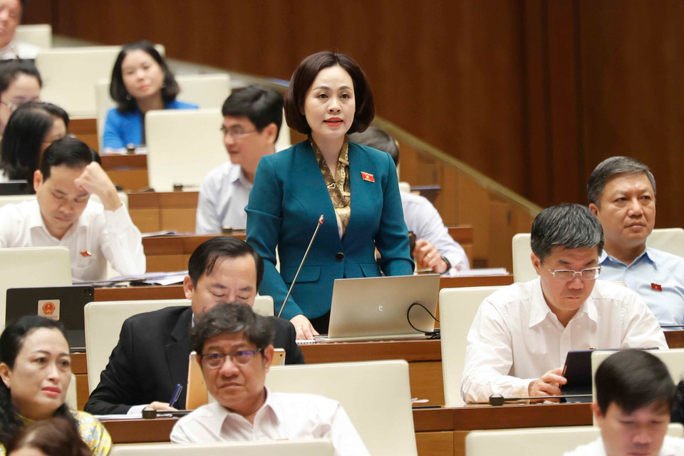Đại biểu Quốc hội tỉnh Ninh Bình Trần Thị Hồng Thanh phát biểu ý kiến. (Ảnh: Doãn Tấn/TTXVN)