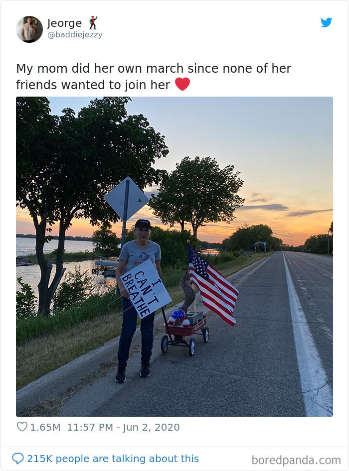 'Mẹ tôi biểu tình một mình vì bạn bè bà không muốn tham gia'. (Nguồn: Boredpanda.com)