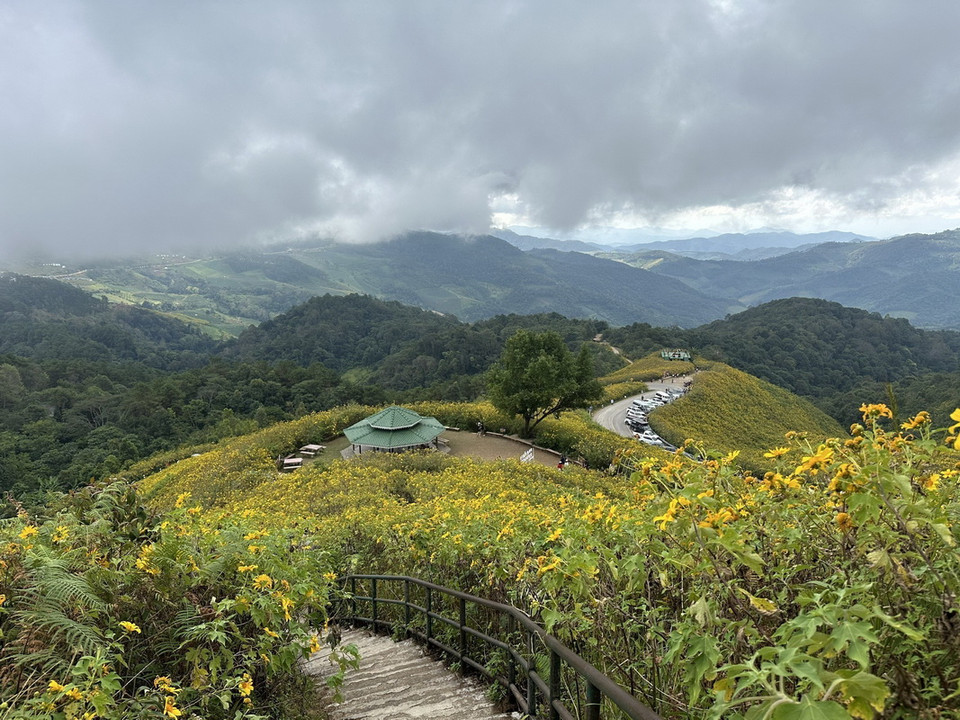 Những cánh đồng hoa dã quỳ vàng rực hai bên đường là điểm thu hút khách du lịch tới Mae Hong Son. (Ảnh: Huy Tiến/TTXVN)