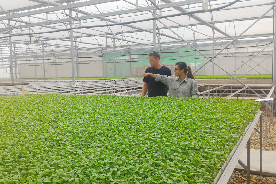 Trao đổi với chuyên gia về kỹ thuật trồng rau theo phương pháp hiện đại. (Ảnh: T.H/Vietnam+)