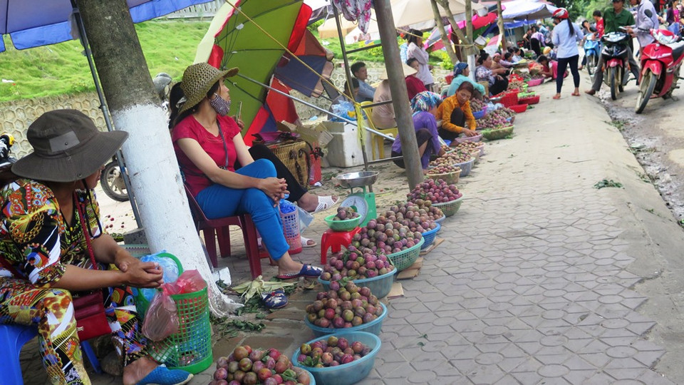 Dọc theo con phố ở Trung tâm thị trấn Bắc Hà, mận được bà con bày bán với số lượng lớn. (Ảnh: Hồng Ninh/Vietnam+)