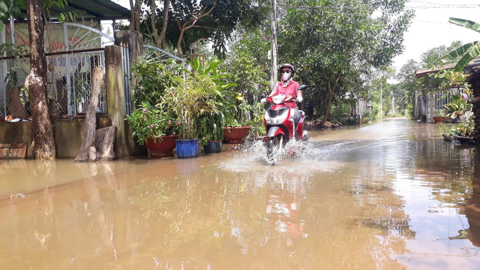 Người dân sống trong cảnh ngập nước. (Ảnh: K GỬIH/TTXVN)