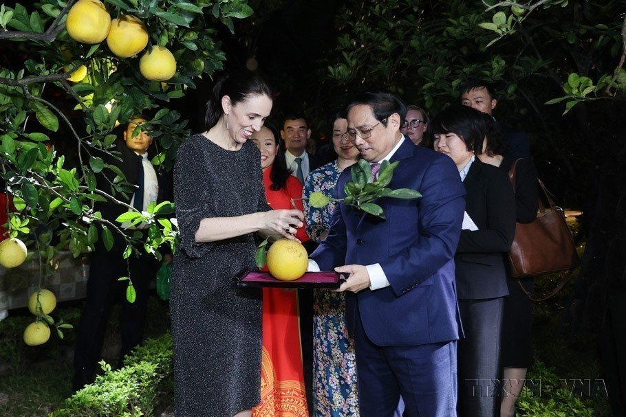 Thủ tướng Phạm Minh Chính tặng Thủ tướng New Zealand Jacinda Ardern trái bưởi từ vườn cây trong Khu Di tích Chủ tịch Hồ Chí Minh tại Phủ Chủ tịch (2022). (Ảnh: Dương Giang/TTXVN)