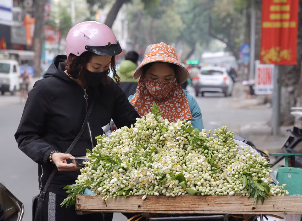 Người dân chọn mua hoa bưởi trên phố Lò Đúc (ảnh chụp ngày 22/2/2021). (Ảnh: Hoàng Hiếu/TTXVN)